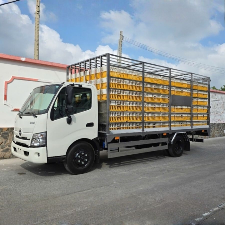 Đóng thùng Hino chở gia cầm
